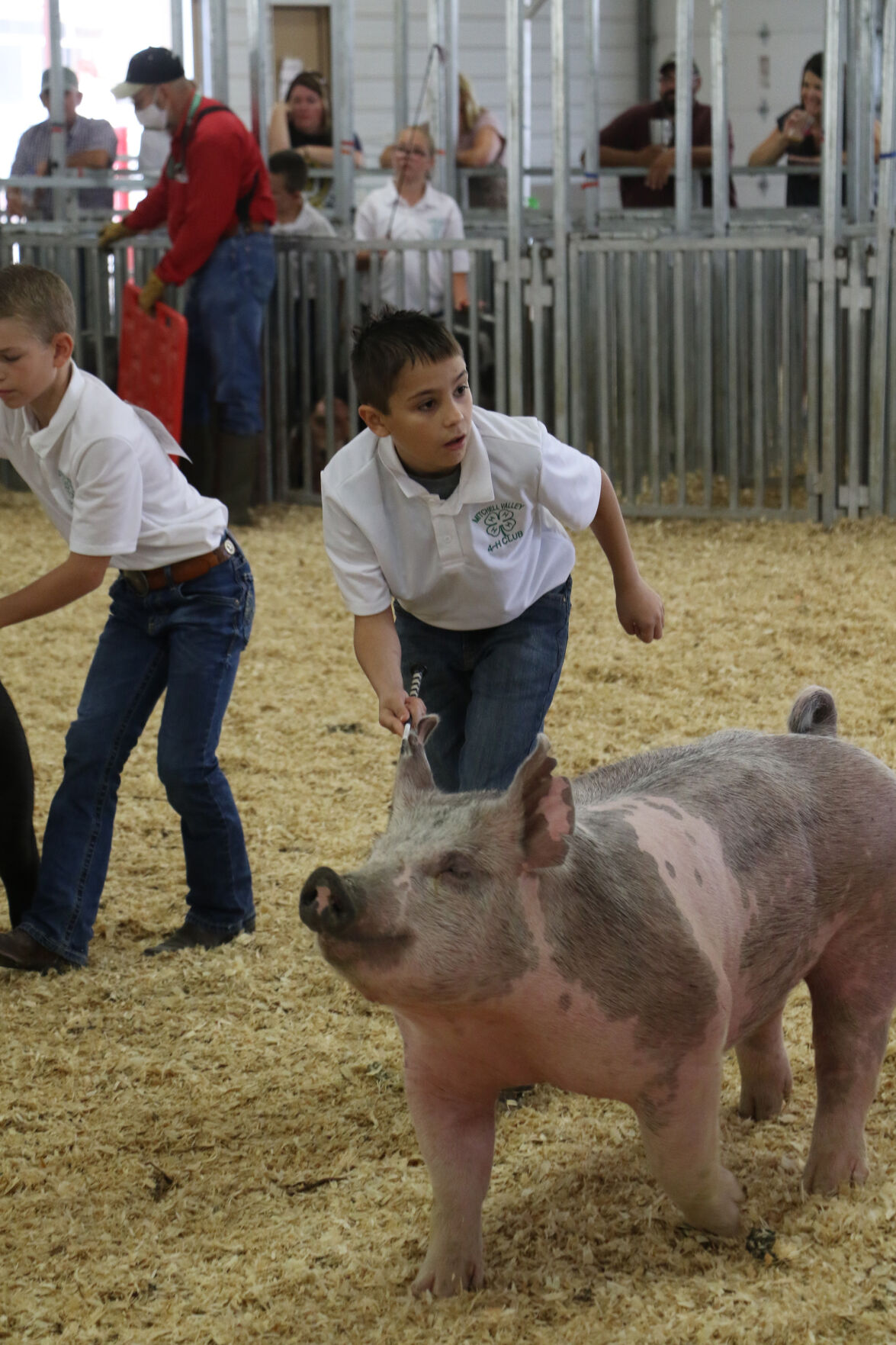 PHOTOS: Pig Showmanship